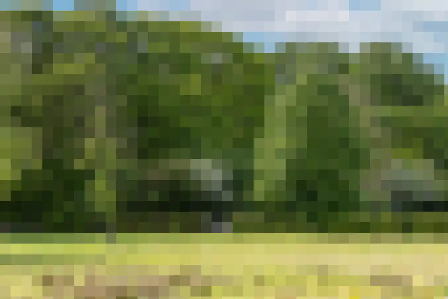 Larixweg 8 Rheezerveen thumbnail 115
