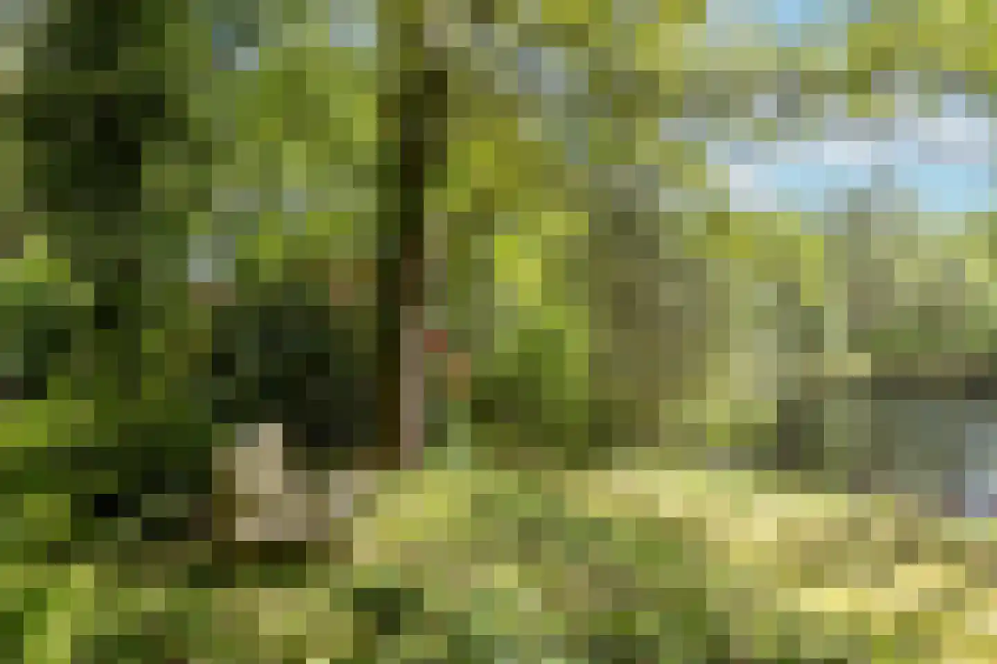 Larixweg 8 Rheezerveen thumbnail 117