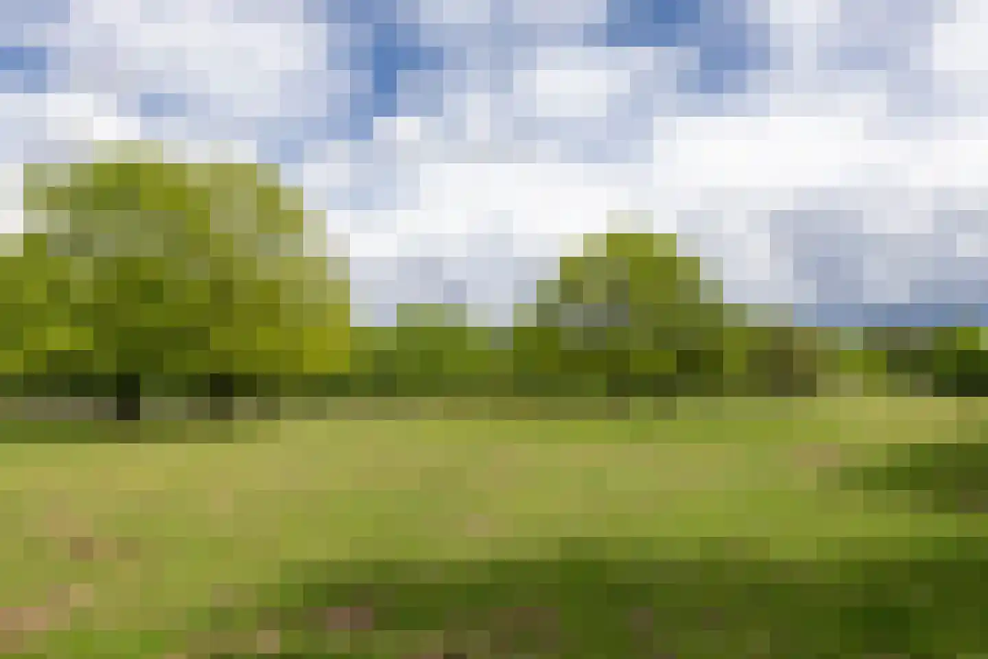 Larixweg 8 Rheezerveen thumbnail 15