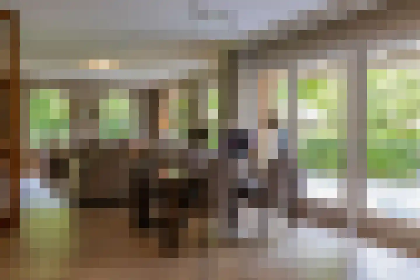 Larixweg 8 Rheezerveen thumbnail 28
