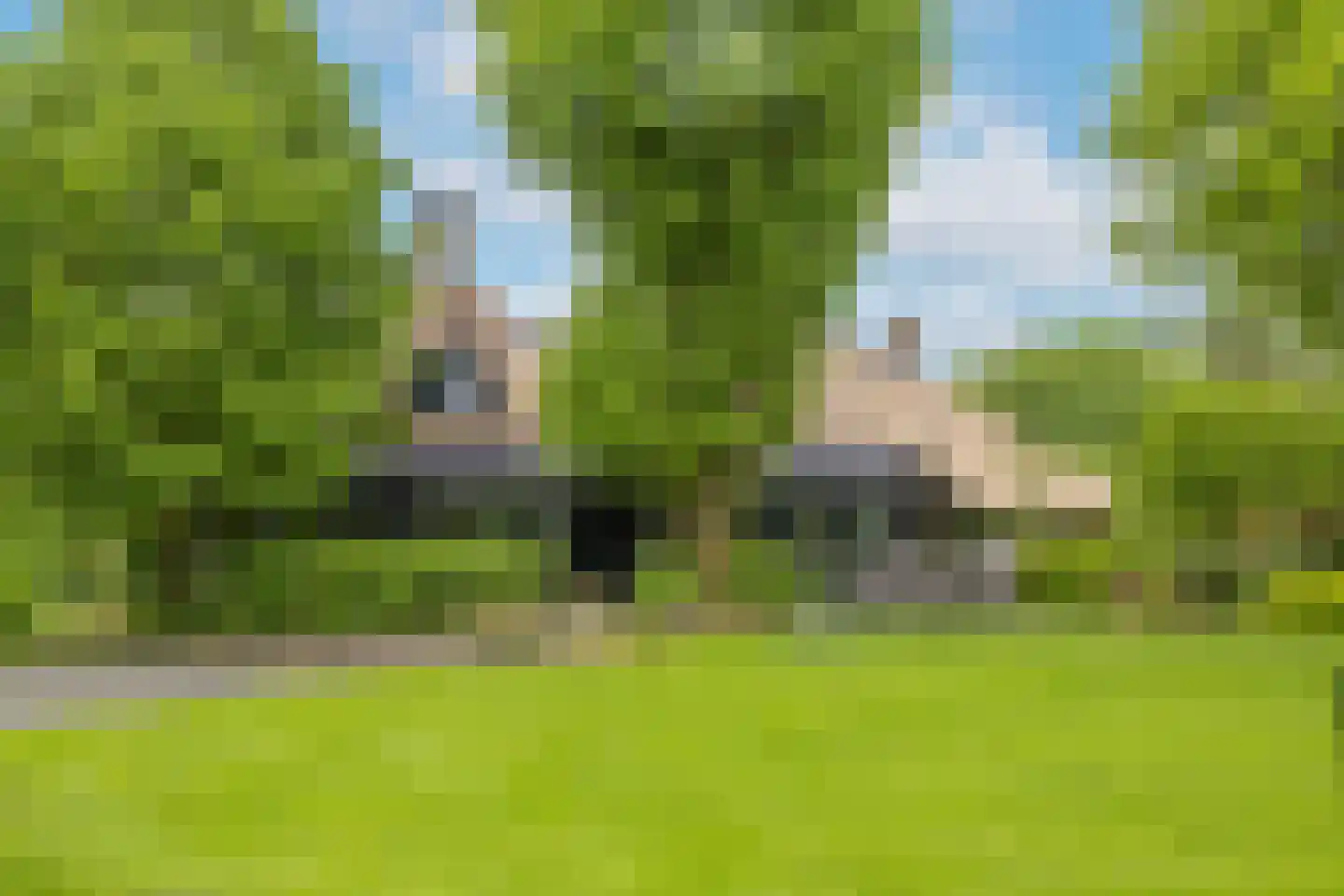 Larixweg 8 Rheezerveen thumbnail 63