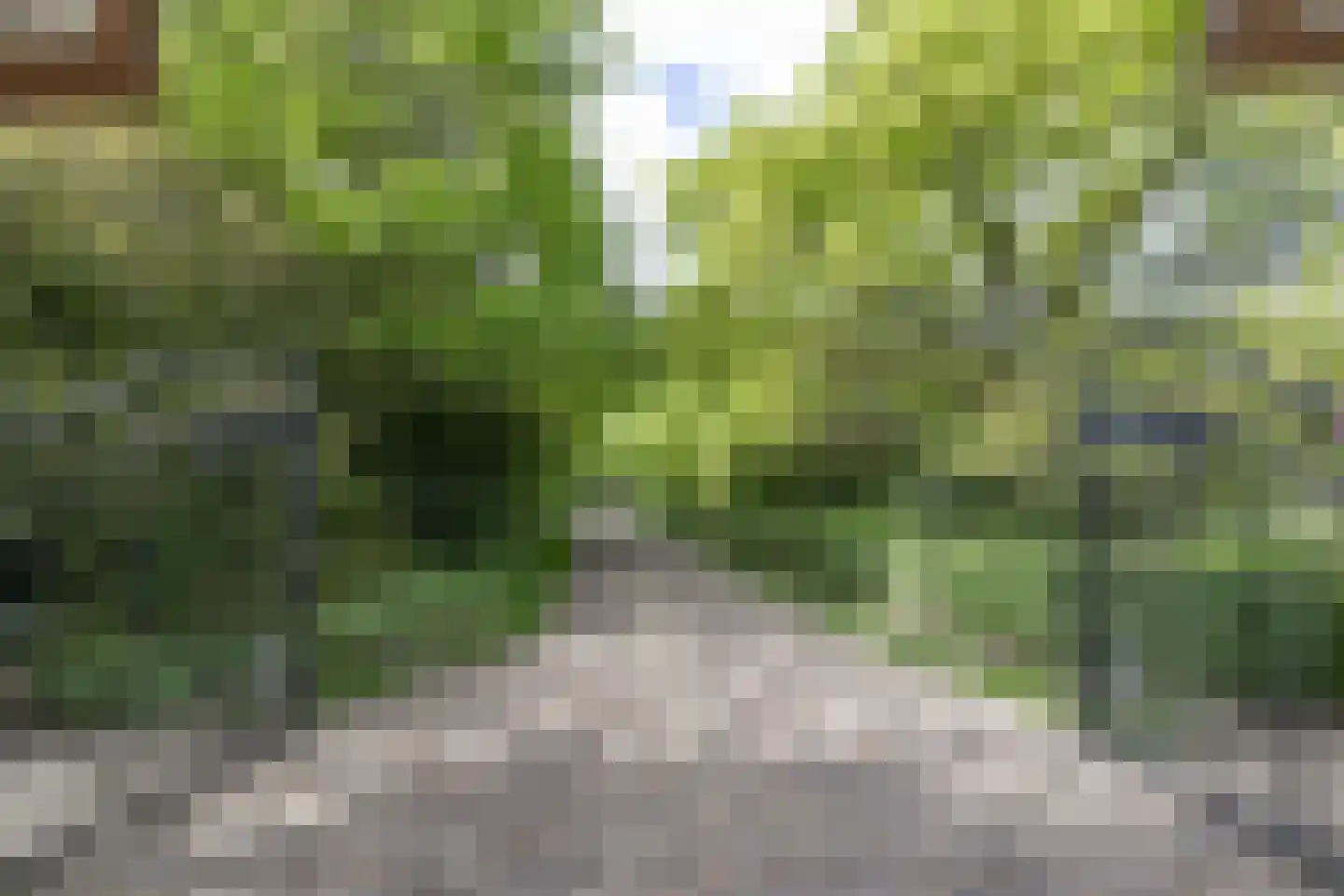 Larixweg 8 Rheezerveen thumbnail 7