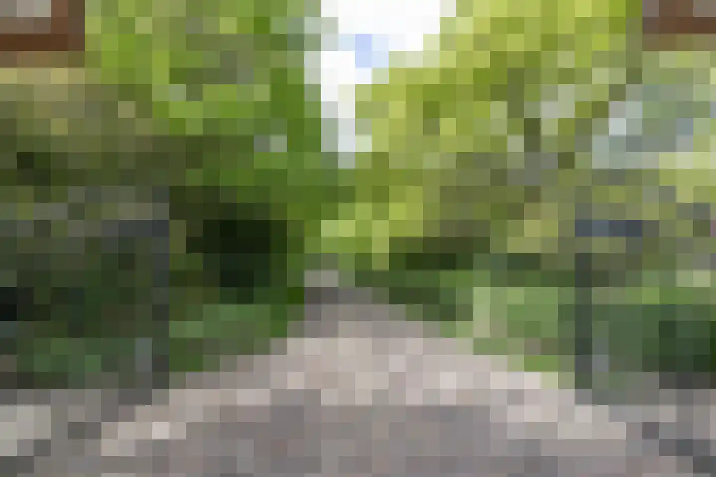 Larixweg 8 Rheezerveen thumbnail 7