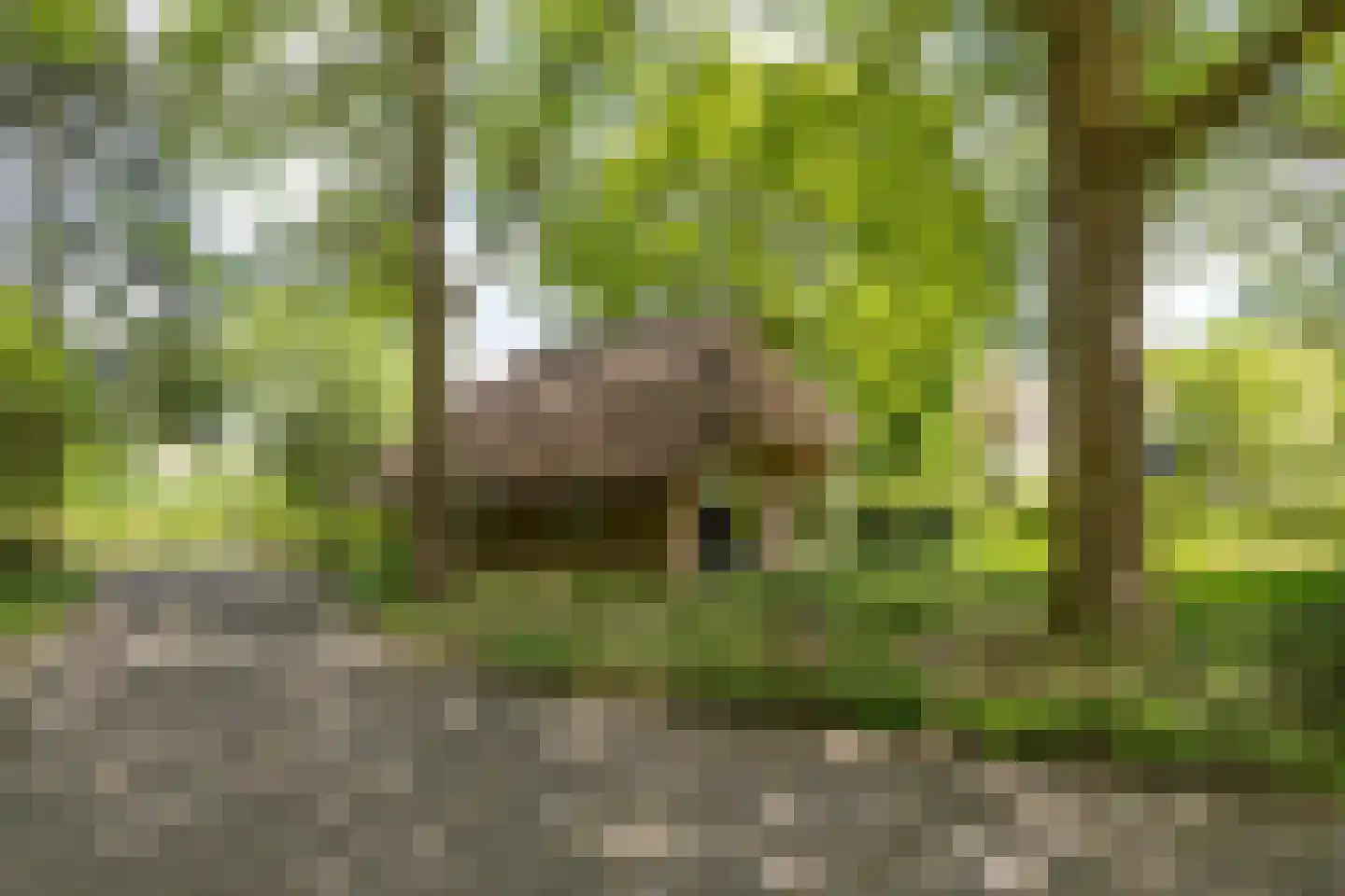 Larixweg 8 Rheezerveen thumbnail 71