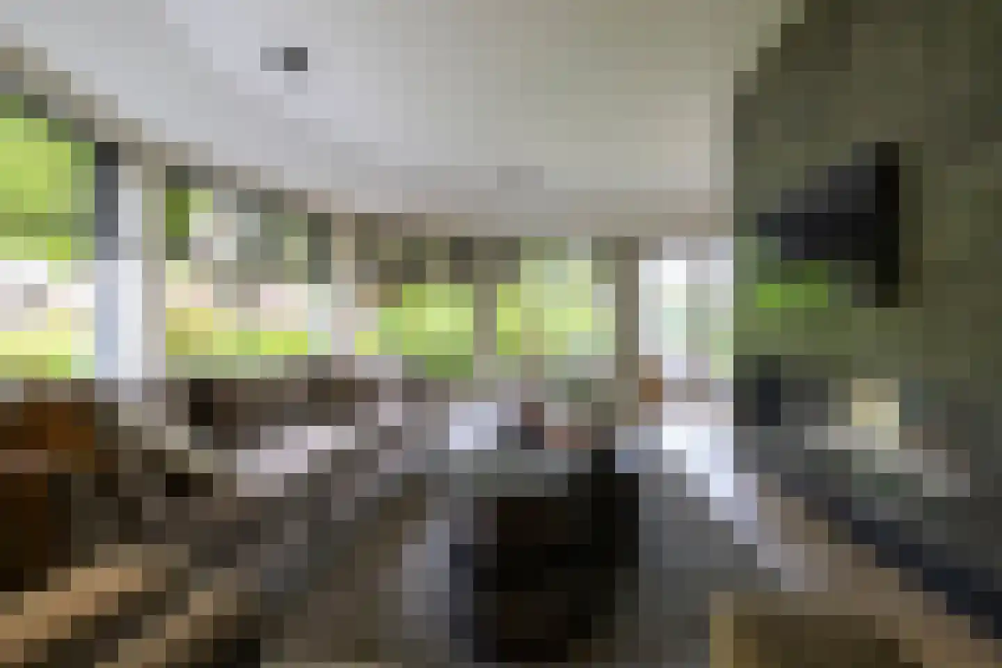 Larixweg 8 Rheezerveen thumbnail 72