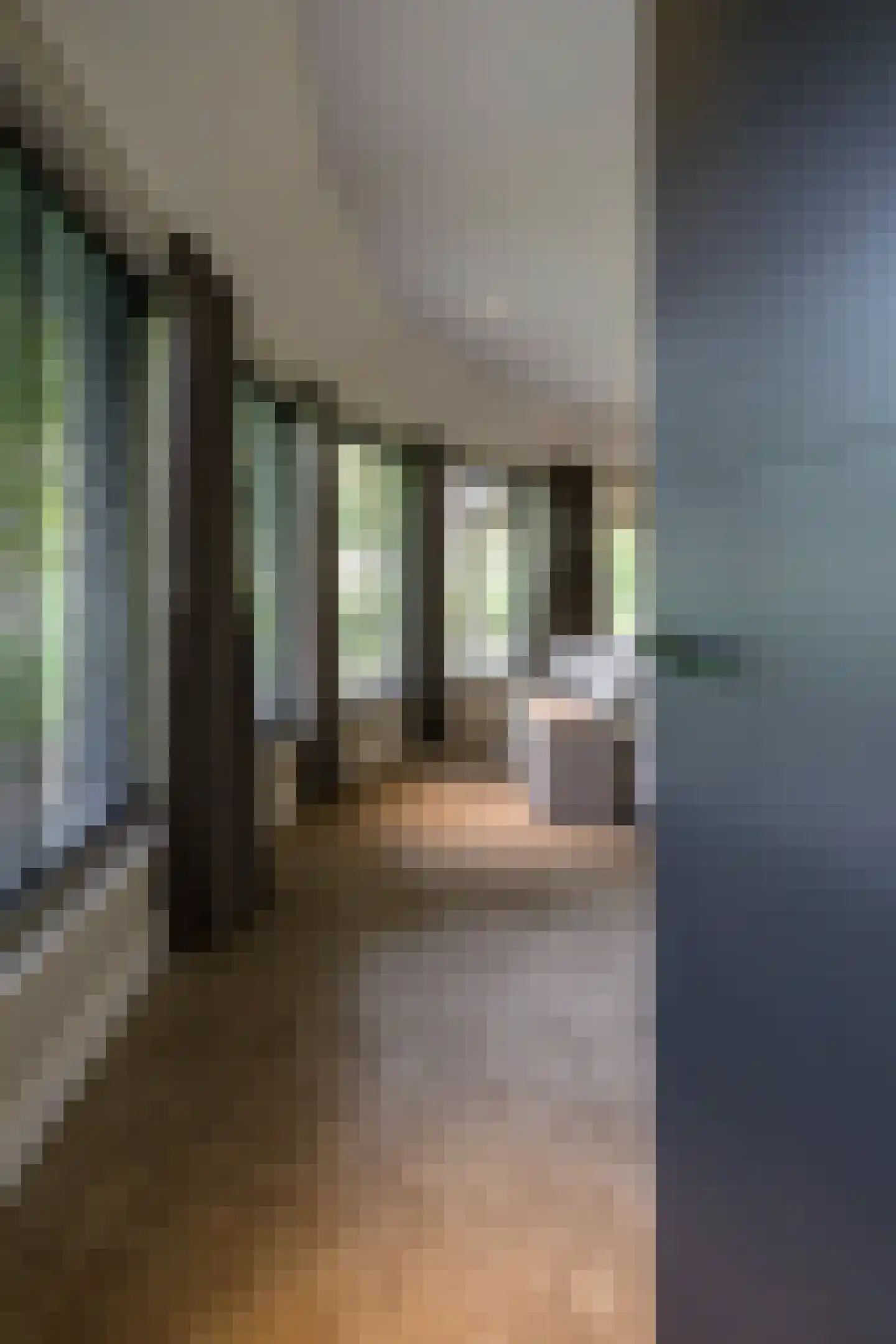 Larixweg 8 Rheezerveen thumbnail 78