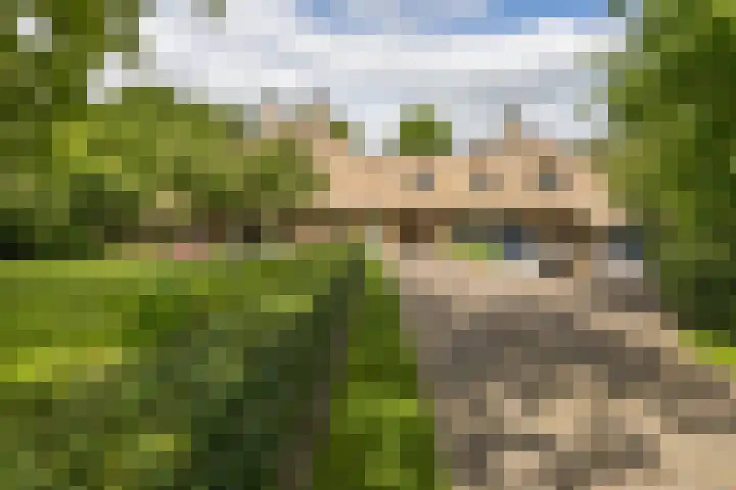 Larixweg 8 Rheezerveen thumbnail 8