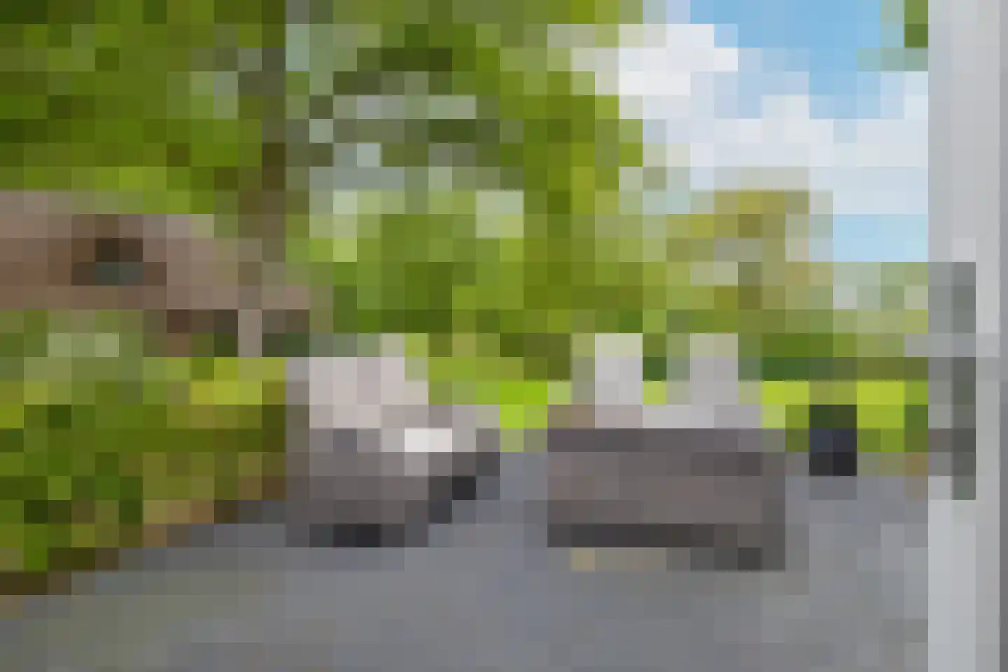Larixweg 8 Rheezerveen thumbnail 85