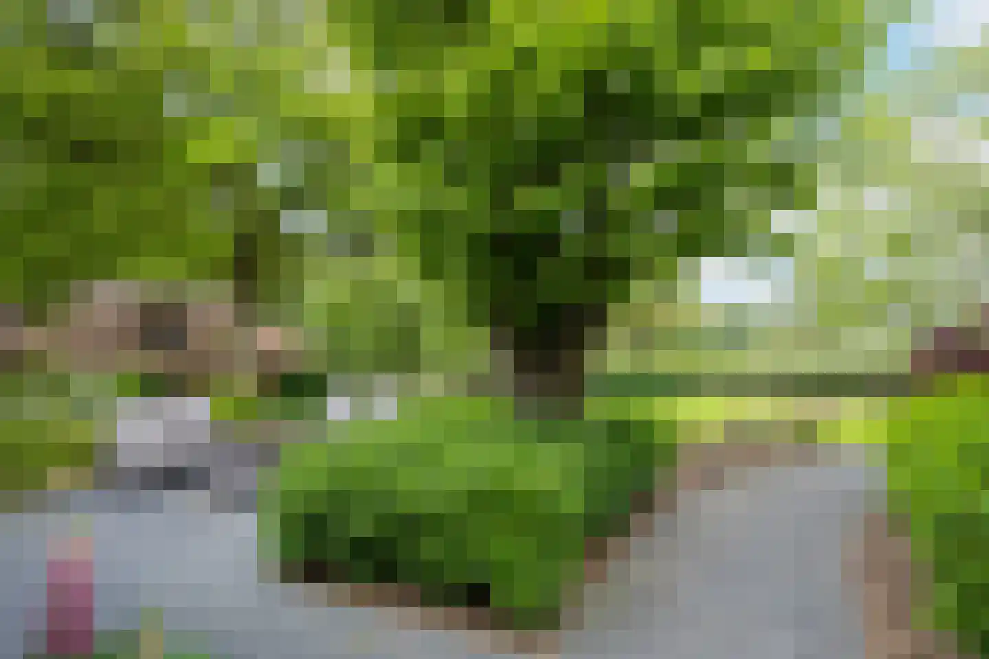 Larixweg 8 Rheezerveen thumbnail 87