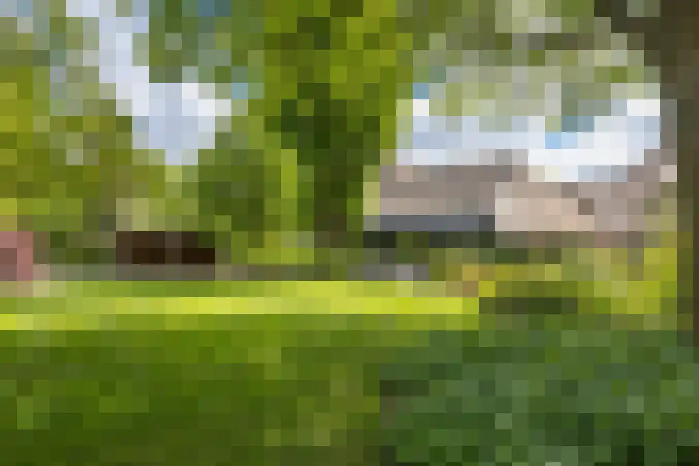Larixweg 8 Rheezerveen thumbnail 88