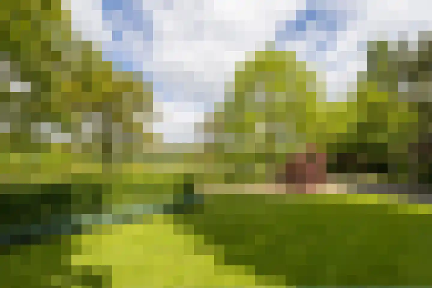 Larixweg 8 Rheezerveen thumbnail 89