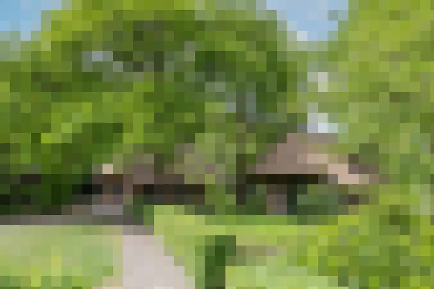 Larixweg 8 Rheezerveen thumbnail 90