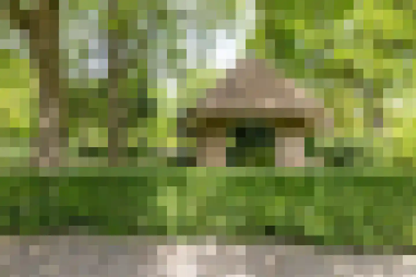 Larixweg 8 Rheezerveen thumbnail 91