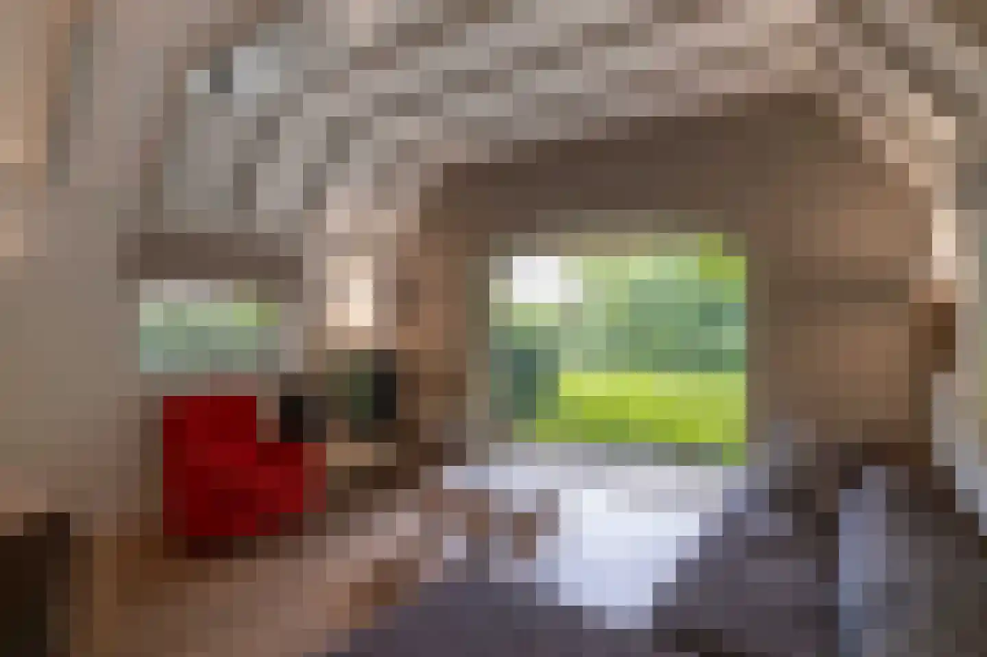 Larixweg 8 Rheezerveen thumbnail 92