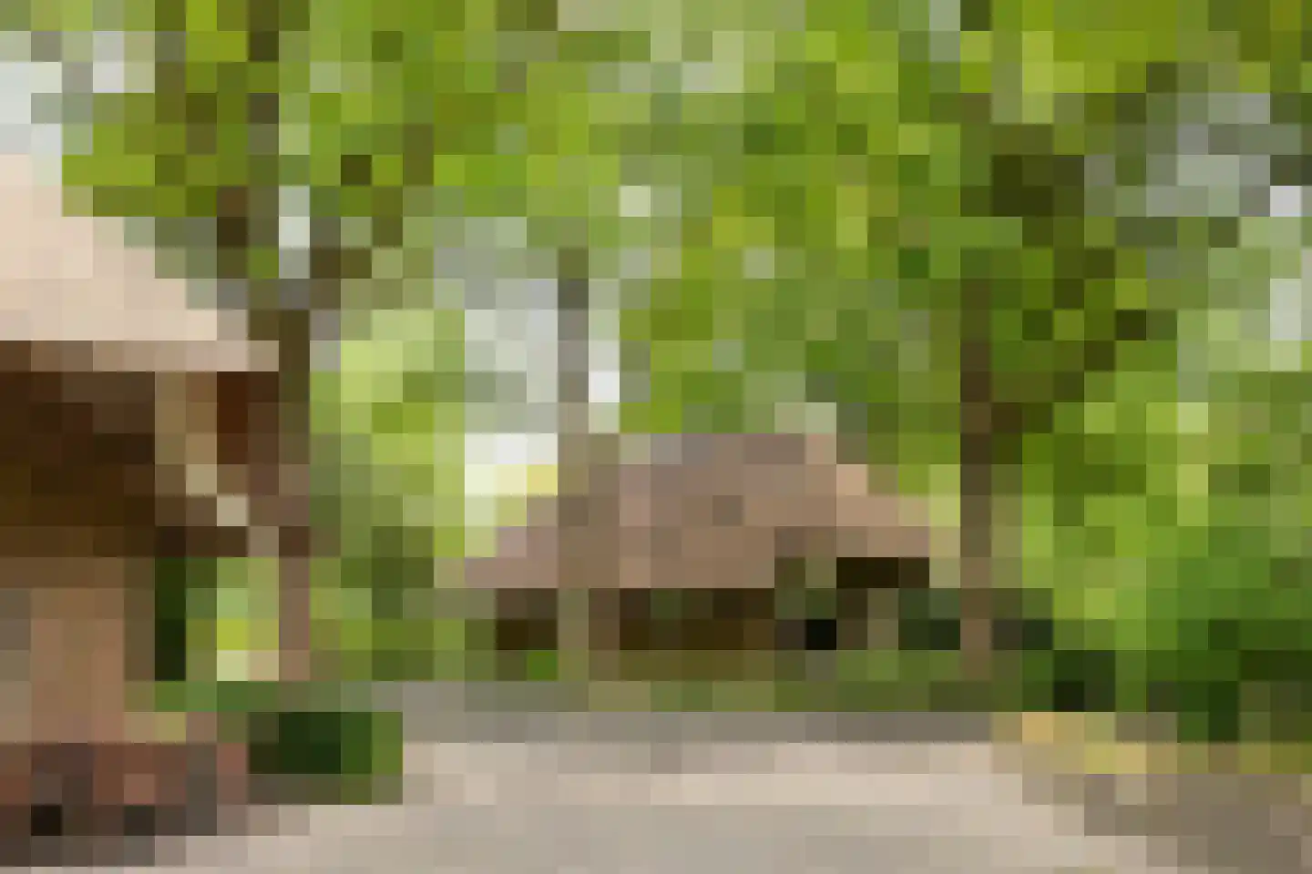 Larixweg 8 Rheezerveen thumbnail 97