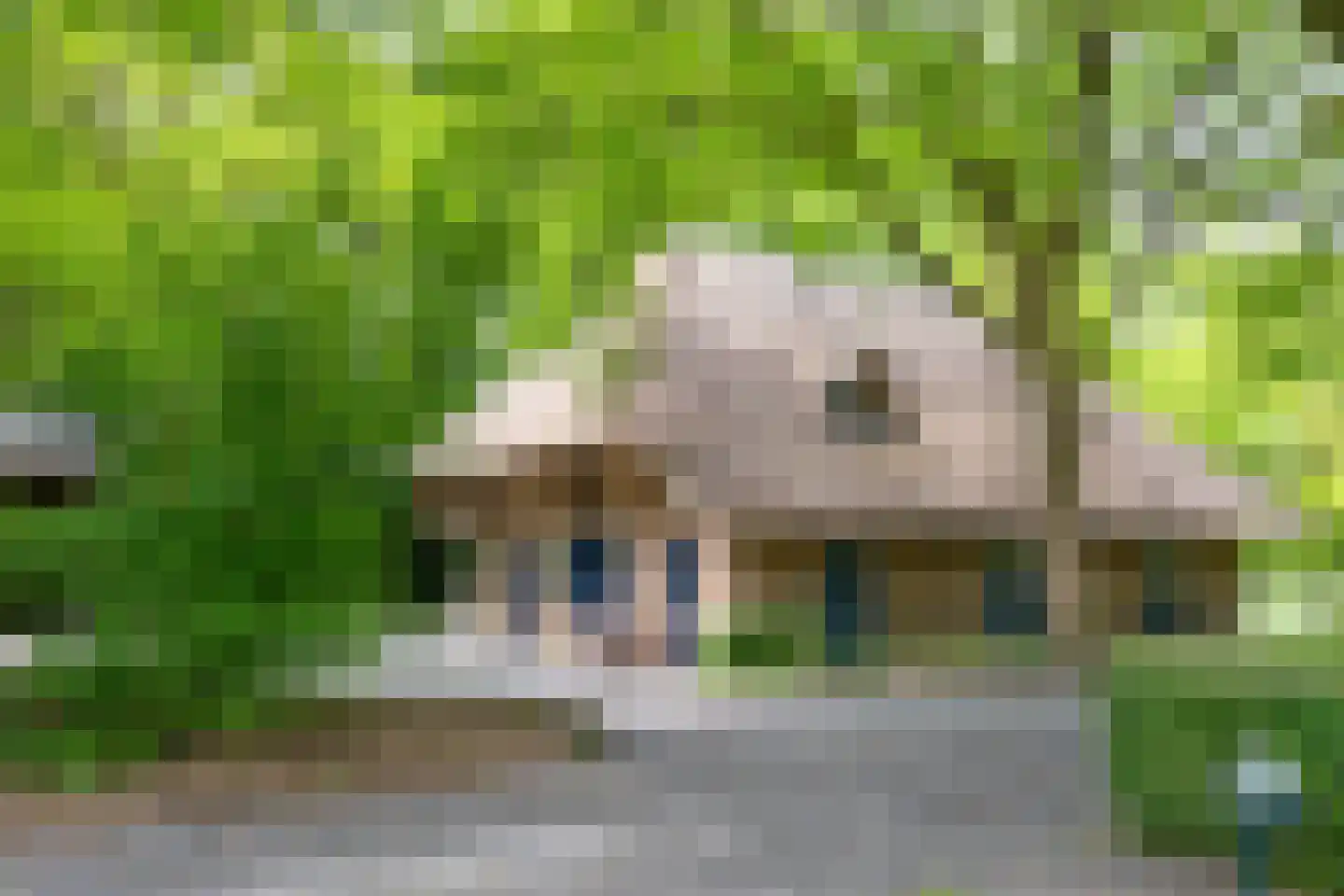 Larixweg 8 Rheezerveen thumbnail 98