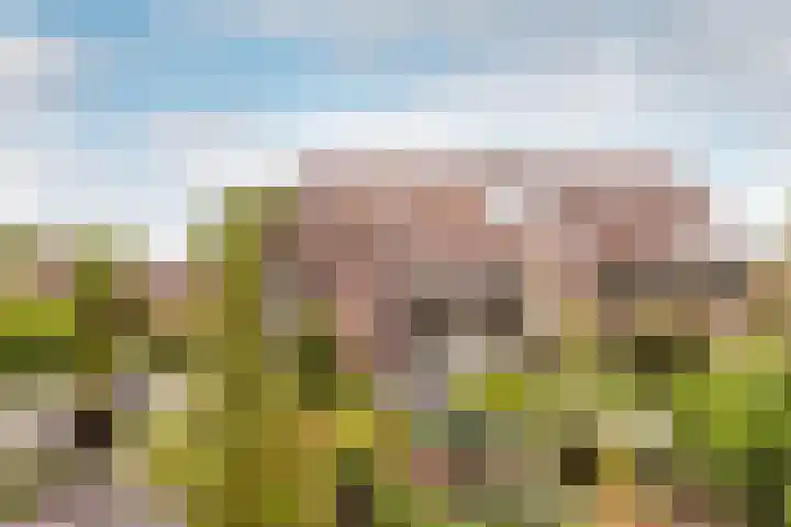 Larixweg 9 't Harde thumbnail 25