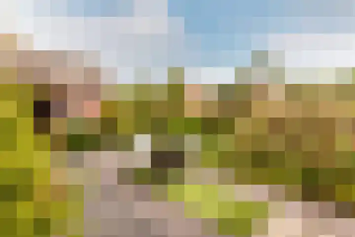 Larixweg 9 't Harde thumbnail 26