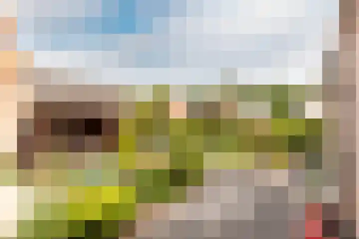 Larixweg 9 't Harde thumbnail 30