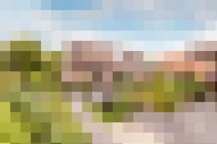 Larixweg 9 't Harde thumbnail 31