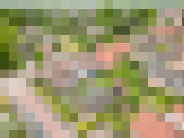 Larixweg 9 't Harde thumbnail 33