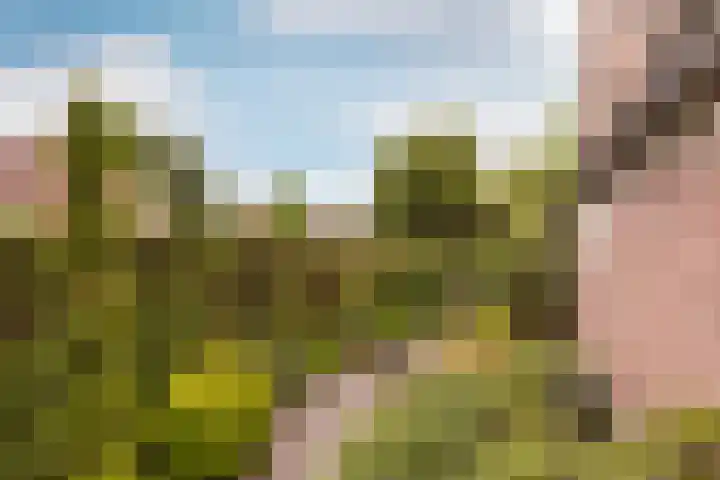 Larixweg 9 't Harde thumbnail 34