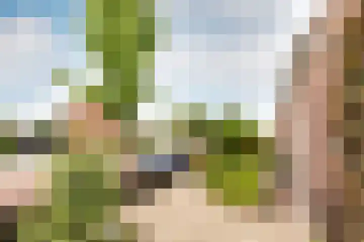 Larixweg 9 't Harde thumbnail 35