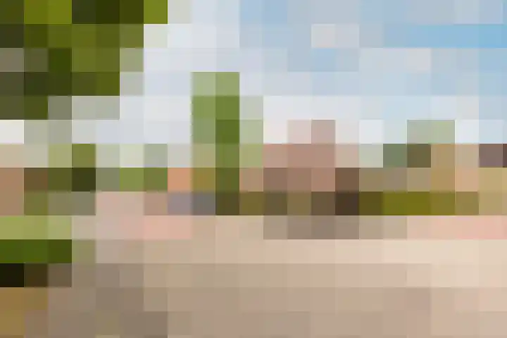 Larixweg 9 't Harde thumbnail 38
