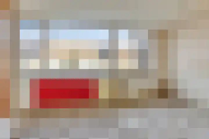 Laseurpad 41 Schiedam thumbnail 11