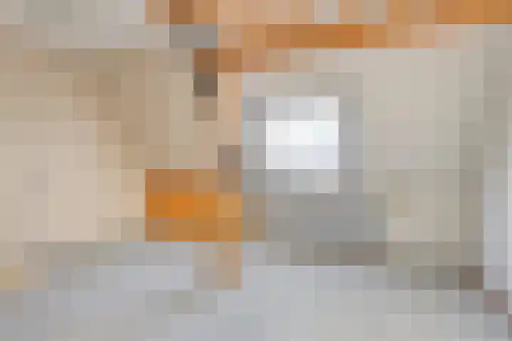 Laseurpad 41 Schiedam thumbnail 14