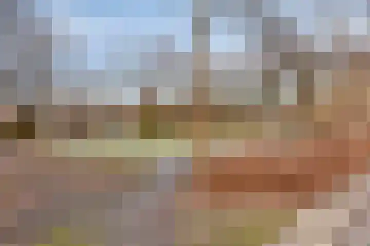 Laseurpad 41 Schiedam thumbnail 22