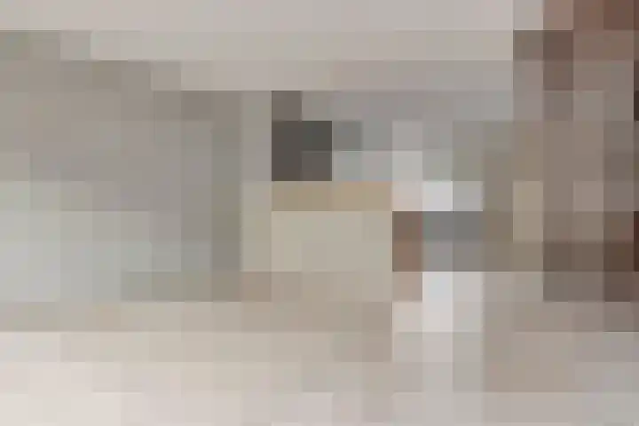 Laseurpad 41 Schiedam thumbnail 4