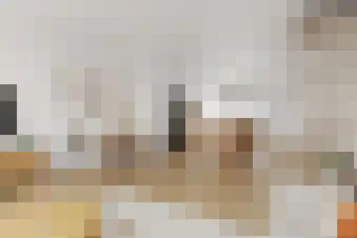 Laseurpad 41 Schiedam thumbnail 5