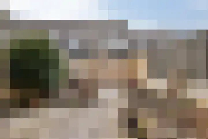 Laseurpad 41 Schiedam thumbnail 7