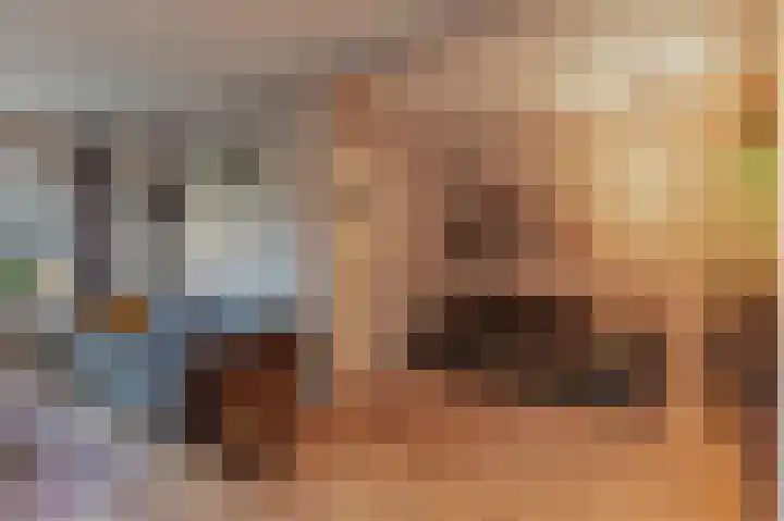 Laskowskilaan 18 Odoorn thumbnail 17