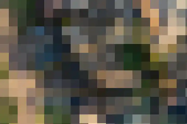 Laskowskilaan 18 Odoorn thumbnail 43