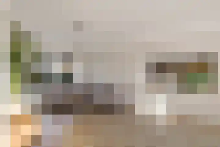 Laskowskilaan 24 Odoorn thumbnail 10
