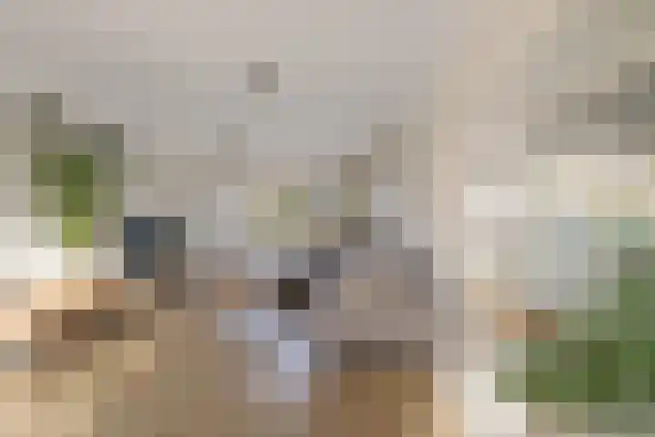 Laskowskilaan 24 Odoorn thumbnail 11