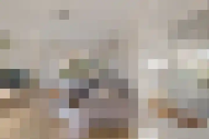 Laskowskilaan 24 Odoorn thumbnail 12