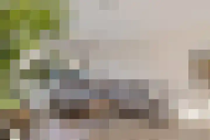 Laskowskilaan 24 Odoorn thumbnail 13