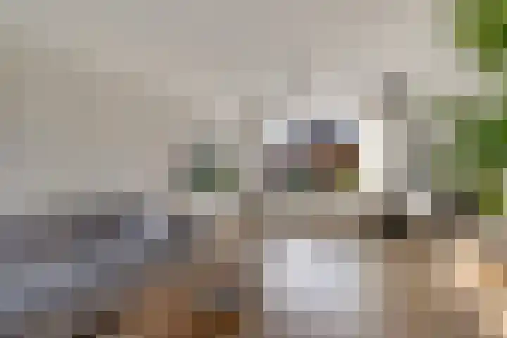 Laskowskilaan 24 Odoorn thumbnail 14