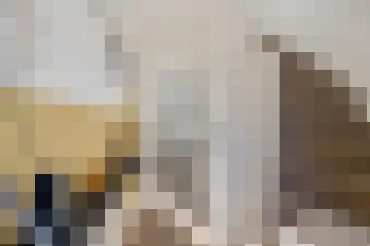 Laskowskilaan 24 Odoorn thumbnail 16