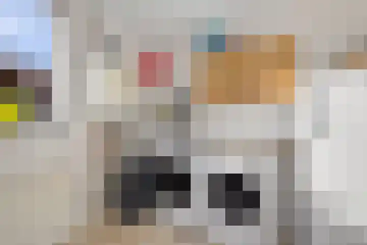 Laskowskilaan 24 Odoorn thumbnail 17