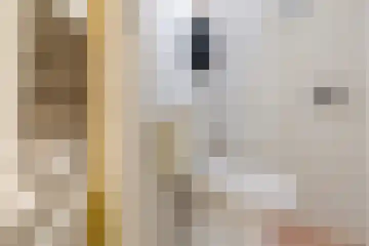Laskowskilaan 24 Odoorn thumbnail 19