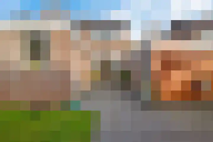 Laskowskilaan 24 Odoorn thumbnail 28