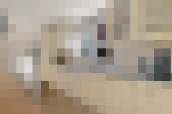 Laskowskilaan 24 Odoorn foto 3