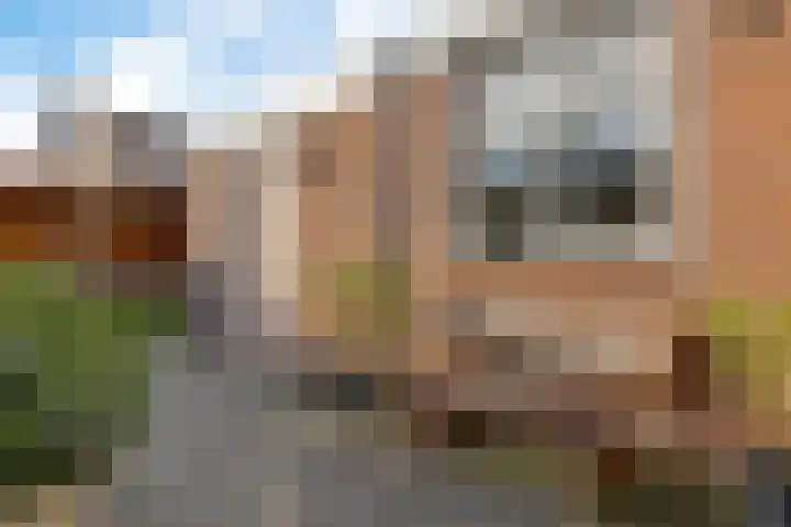 Laskowskilaan 24 Odoorn thumbnail 31