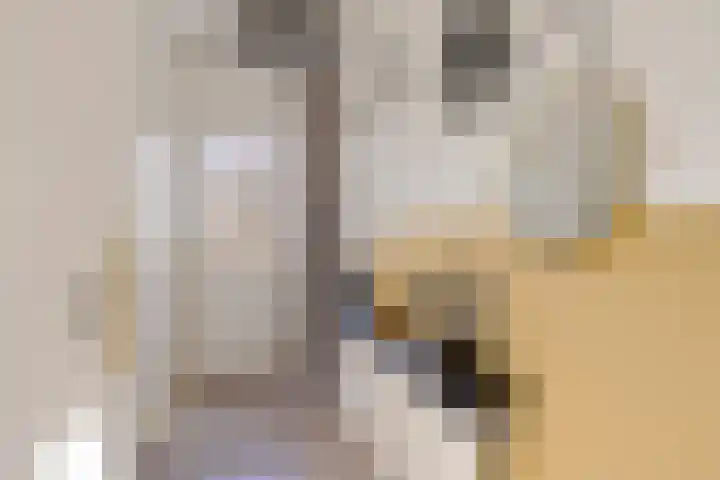 Laskowskilaan 24 Odoorn thumbnail 5