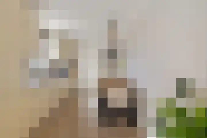 Laskowskilaan 24 Odoorn thumbnail 6