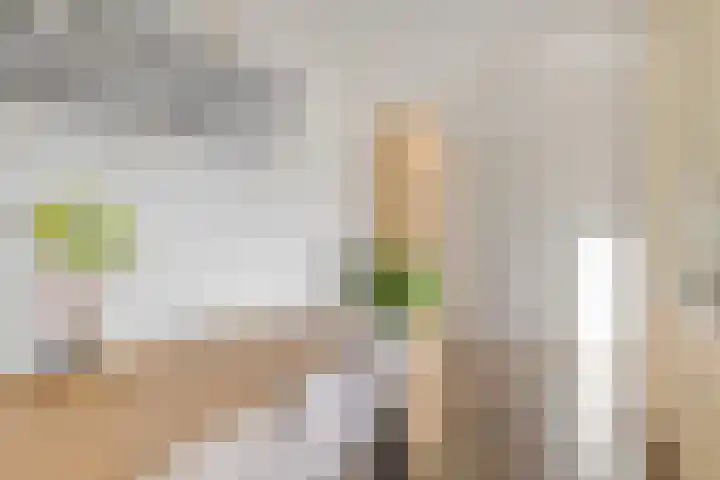 Laskowskilaan 24 Odoorn thumbnail 8